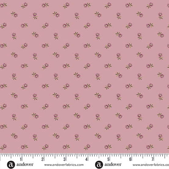 Pincushion Flower - Lilac