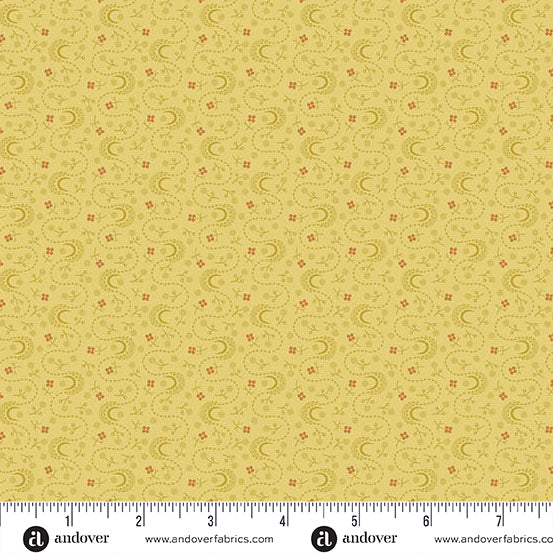 Lupin - Daffodil