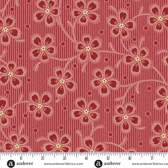 Cardinal - Dianthus