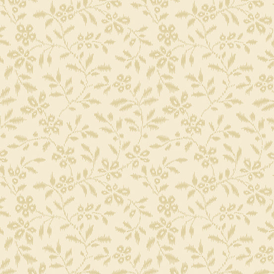 Vail - Parchment