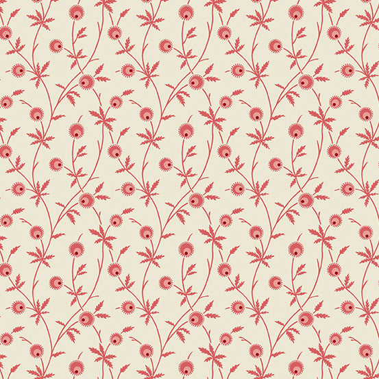 Cedar - Magnolia