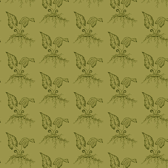 Fiddleheads - Thyme