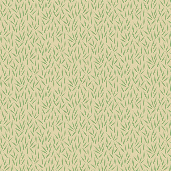 Bean - White Pine
