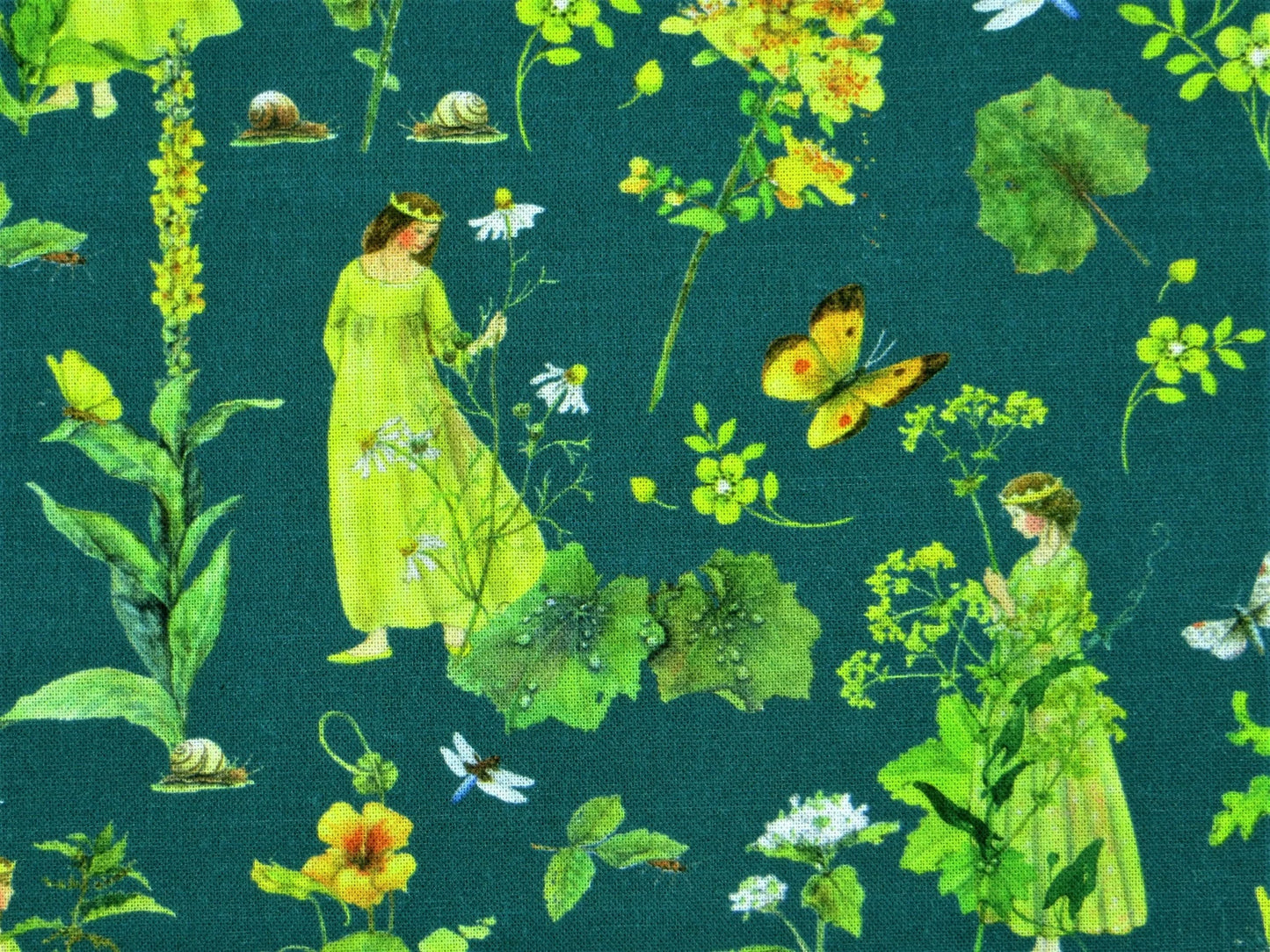 Queens of the Meadow
