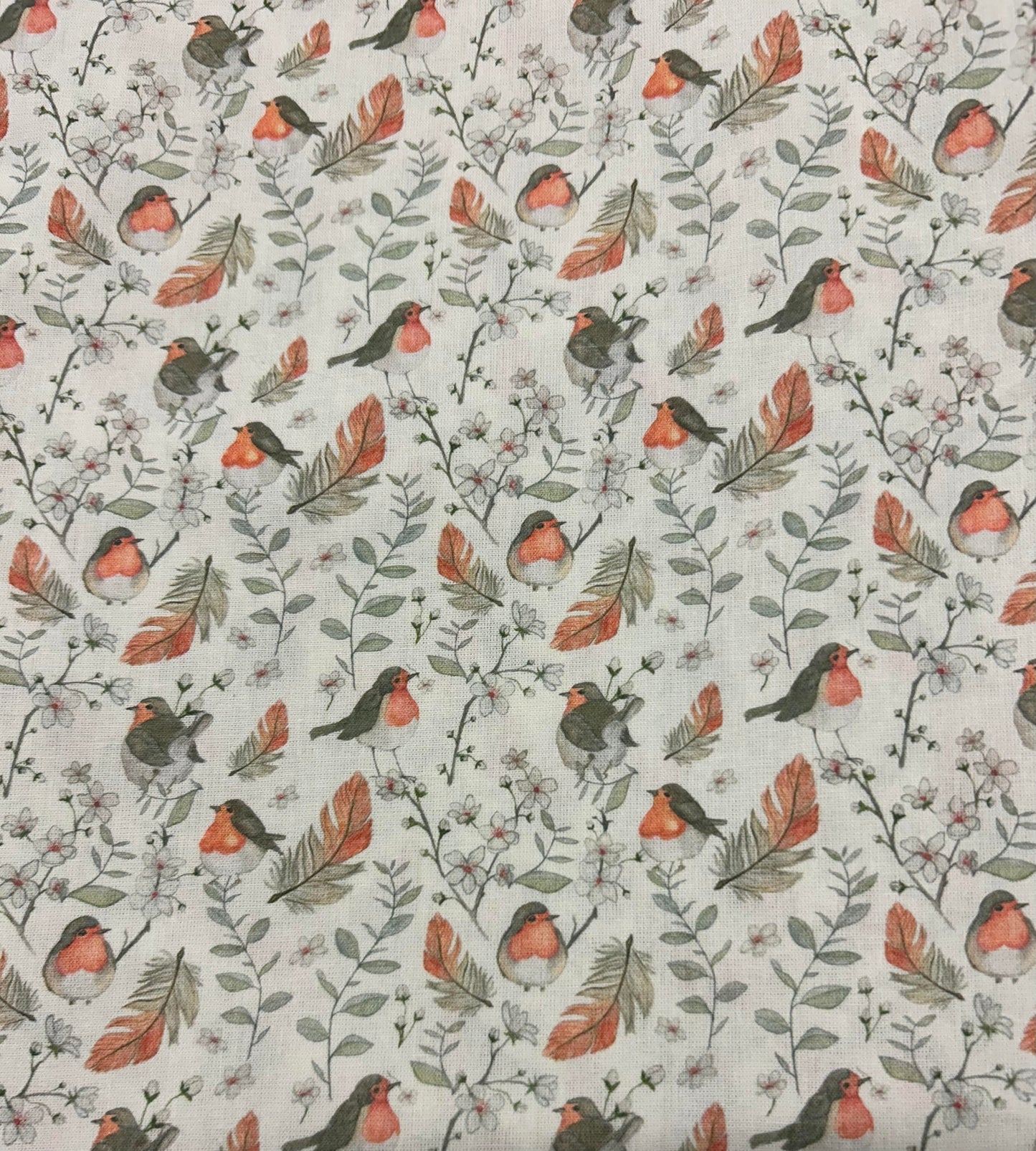 Birds and Feathers