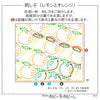 Hana Fukin Sashiko Sampler – Oranges and Lemons