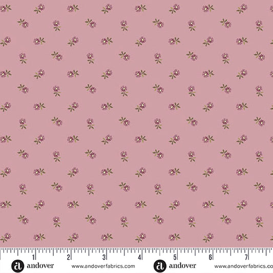 Pincushion Flower - Lilac