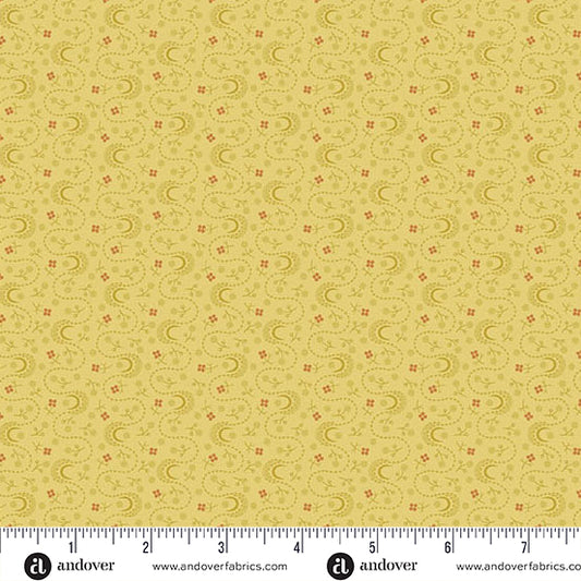 Lupin - Daffodil