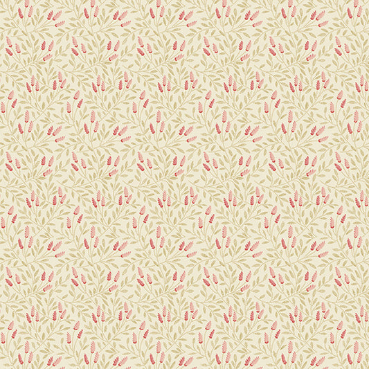 Reed - Cream