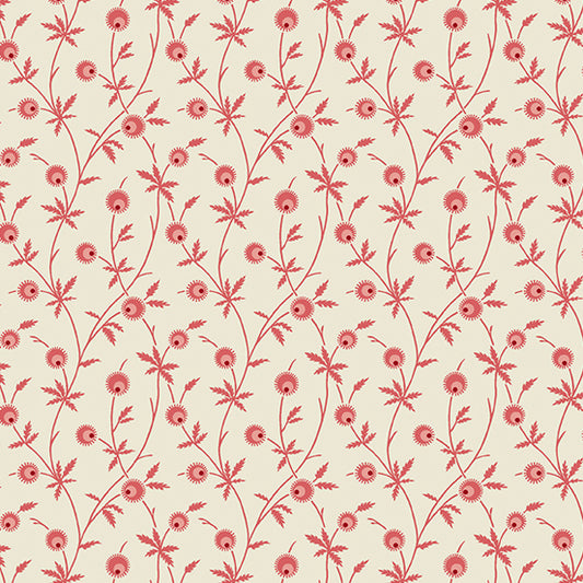 Cedar - Magnolia