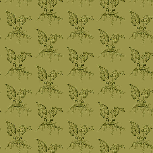 Fiddleheads - Thyme