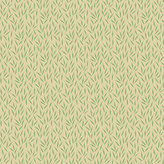 Bean - White Pine