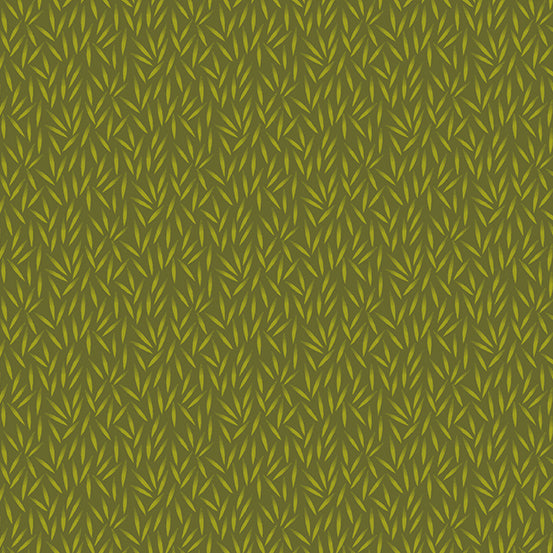 Bean - Olive Grove