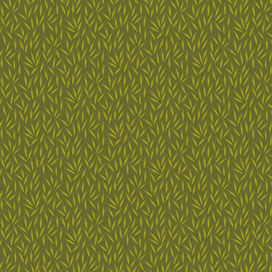 Bean - Olive Grove