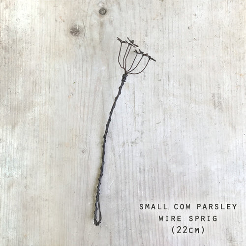 Small Cow Parsley Wire Sprig