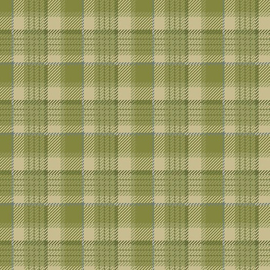 Oxford - Spruce