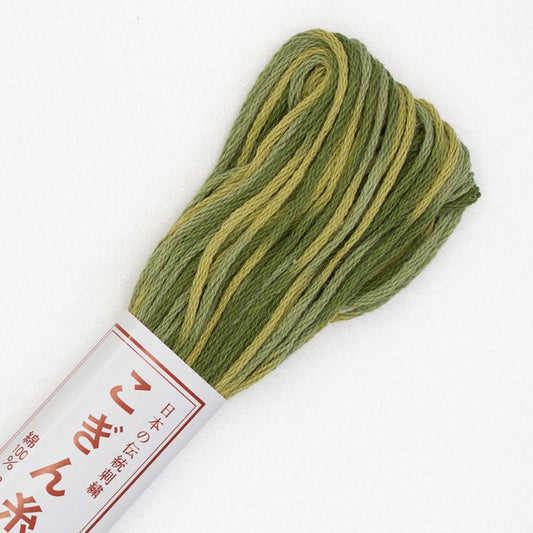 Kogin Thread - Variegated Green #21
